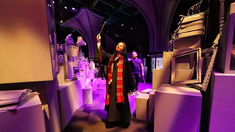 Harry Potter: Visions of Magic